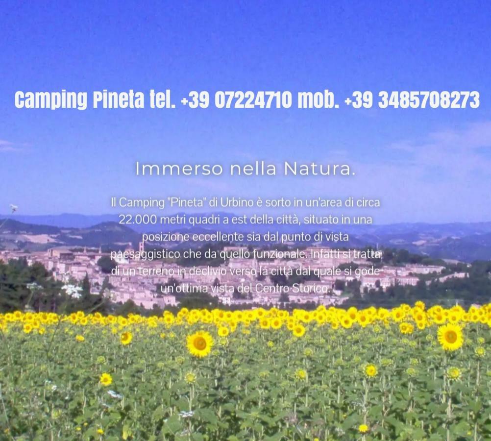 Camping Pineta Hotel Urbino Exterior photo